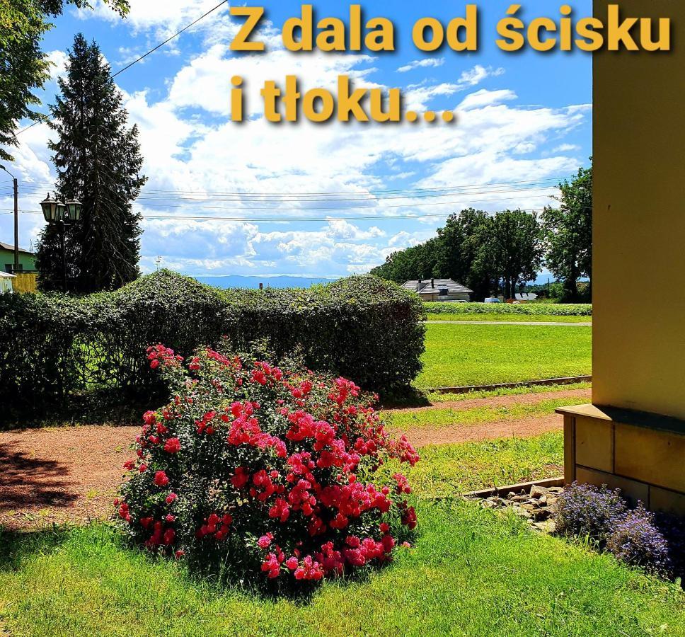 Palac Bazantarnia Pszczyna Εξωτερικό φωτογραφία